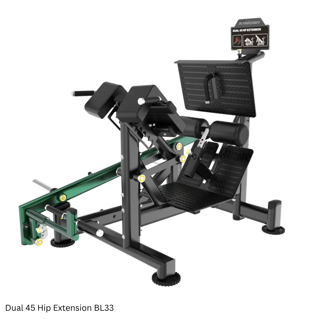 máy tập mở rộng hông góc 45 độ BL33