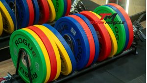 thiết bị gym