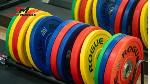 thiết bi gym